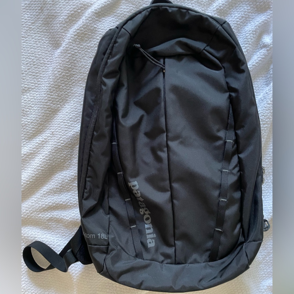 Patagonia Atom 18L Backpack